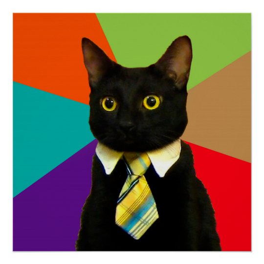 business-cat